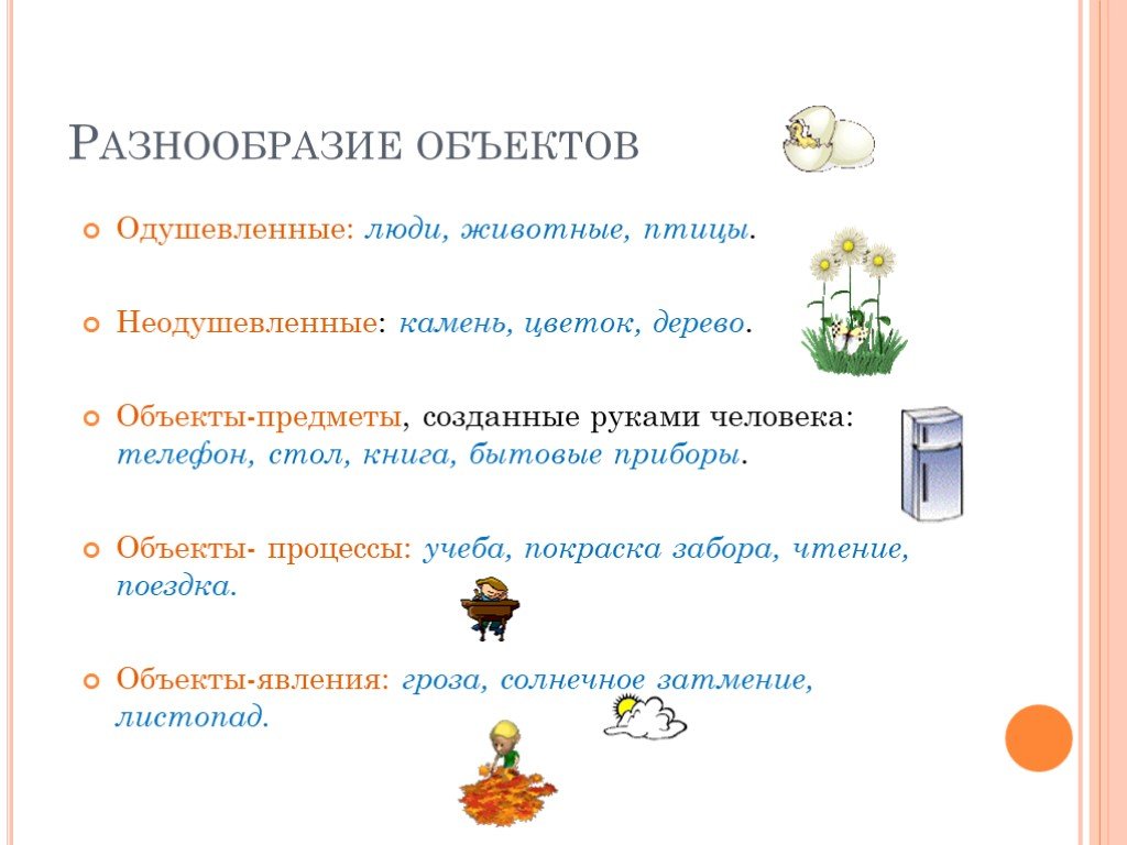 Виды объектов предмет. Объект предмет процесс явление. Разнообразие предметов. Разнообразие объектов. Объекты-явления из информатики.