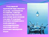 Структурной единицей воды является кластер, состоящий из клатратов, природа которых обусловлена дальними кулоновскими силами. В структуре кластров закодирована информация о взаимодействиях, имевших место с данными молекулами воды.
