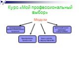 Курс «Мой профессиональный выбор». Модули. Планирование профессионального будущего. Приобретение профессии. Поиск работы и трудоустройство. Дополнительная правовая консультация