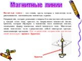 Магнитные линии – это линии, вдоль которых в магнитном поле располагаются оси маленьких магнитных стрелок. Направление, которое указывает северный полюс магнитной стрелки в каждой точке поля, принято за направление магнитной линии. Цепочки, которые образуют в магнитном поле железные опилки, показыва