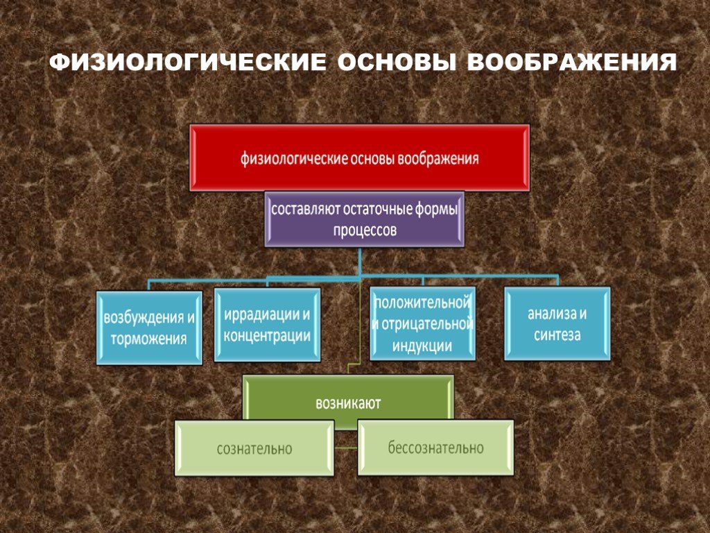 Физиологические основы воображения презентация