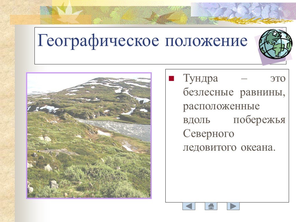 Характеристика тундры в россии. Положение зоны тундры. Тундра географии положение. Природная зона тундра географическое положение. Географичесоеположение тудры.