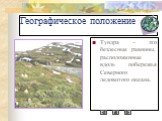 Географическое положение. Тундра – это безлесные равнины, расположенные вдоль побережья Северного ледовитого океана.