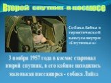 Второй спутник в космосе. 3 ноября 1957 года в космос стартовал второй спутник, в его кабине находилась маленькая пассажирка - собака Лайка. Собака Лайка в герметической капсуле внутри «Спутника-2»