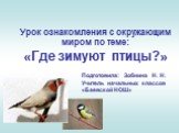 Урок ознакомления с окружающим миром по теме: «Где зимуют птицы?». Подготовила: Зобнина Н. Н. Учитель начальных классов «Баевской НОШ»