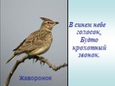 В синем небе голосок, Будто крохотный звонок. Жаворонок