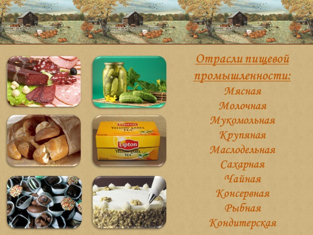 Продукты проекта по географии