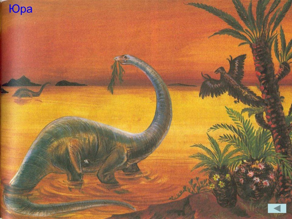 Мезозойская эра 9 класс. Динозавры мезозоя. Динозавры Триасового периода. Мезозойская Эра растения.