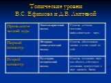 Топические уровни В.С. Ефимова и Д.В. Лаптевой
