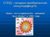 СПИД – синдром приобретенного иммунодефицита. Вирус иммунодефицита человека был открыт в 1982 году