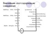 Важнейшие азотсодержащие соединения. •• •N• •