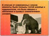 В отличие от современных слонов мамонты были покрыты густой шерстью и подшерстком, что было связано с обитанием в суровых климатических условиях.