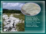Известняк состоит из однородного вещества. Это минерал кальцит. Но, несмотря на то , что образовался он из раковин древних моллюсков, известняк – прочный строительный материал.