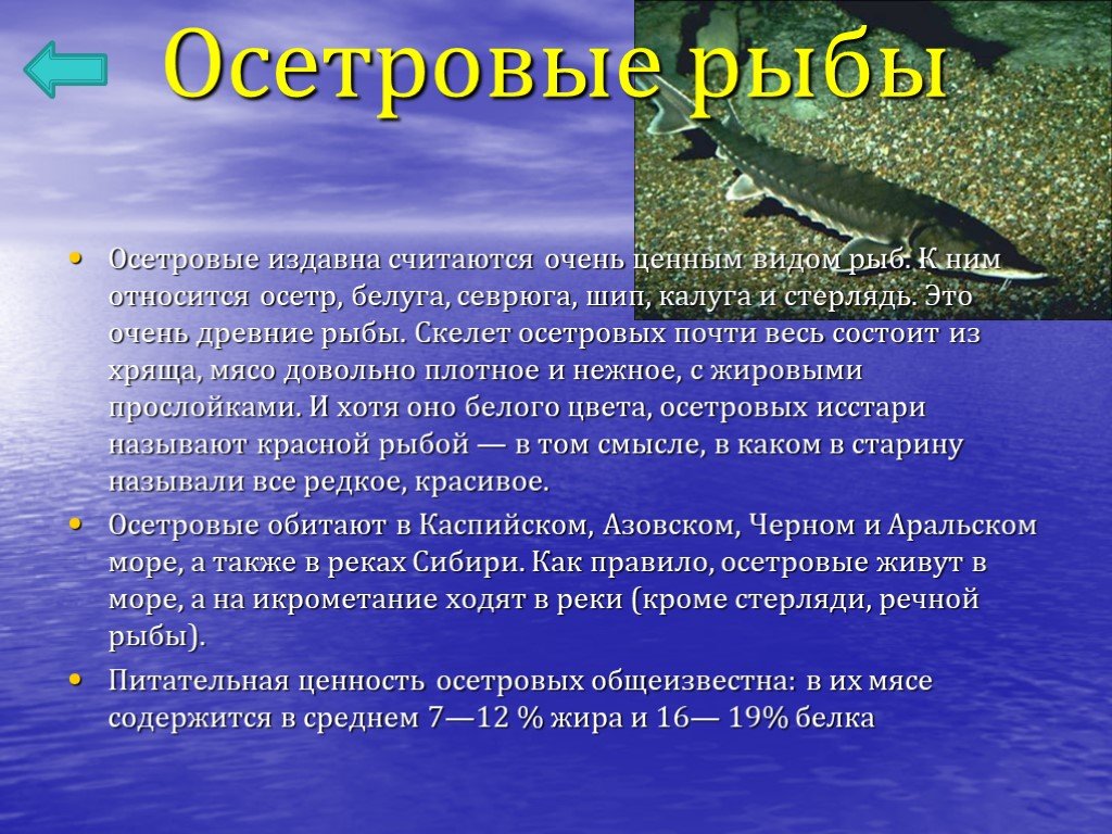 Презентация рыбное хозяйство 8 класс география