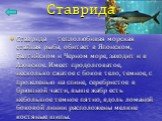 Ставрида. Ставрида — теплолюбивая морская стайная рыба, обитает в Японском, Балтийском и Черном море, заходит и в Азовское. Имеет продолговатое, несколько сжатое с боков тело, темное, с прозеленью на спине, серебристое в брюшной части, выше жабр есть небольшое темное пятно, вдоль ломаной боковой лин