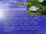 Густера. Рыба семейства карповых. Длина — 16—18 см, хотя встречаются экземпляры до 35 см. Вес — от 200 г до 1,2 кг. Густера обитает в бассейнах Северного, Балтийского, Черного, Азовского и Каспийского моря. Ее тело высокое, сильно сжатое с боков, по-крытое толстой, плотно сидящей чешуей. Голова отно