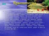 Красноперка. Красноперка — рыба семейства карповых, похожа на плотву, но намного красивее и крупнее ее. Красноперка распространена в реках и озерах бассейнов Черного и Каспийского моря; обитает в большей части Западной Европы. Эту рыбу называют также красноглазкой, чернухой, черемухой. Название ей д