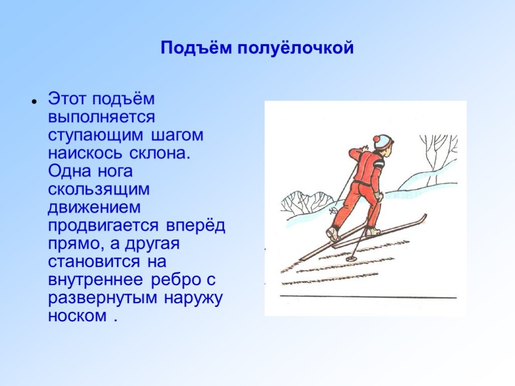 Стойка лыжника наиболее устойчива при спуске. Подъем полуелочкой на лыжах техника. Описание подъема полуелочкой. Физкультура темы по лыжам скользящий шаг. Техника выполнения подъема полуелочкой.