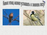 Птицы зимнего леса Слайд: 18