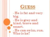 Guess. He is fat and very big. He is grey and kind, brave and smart. He can swim, run. Who is he?