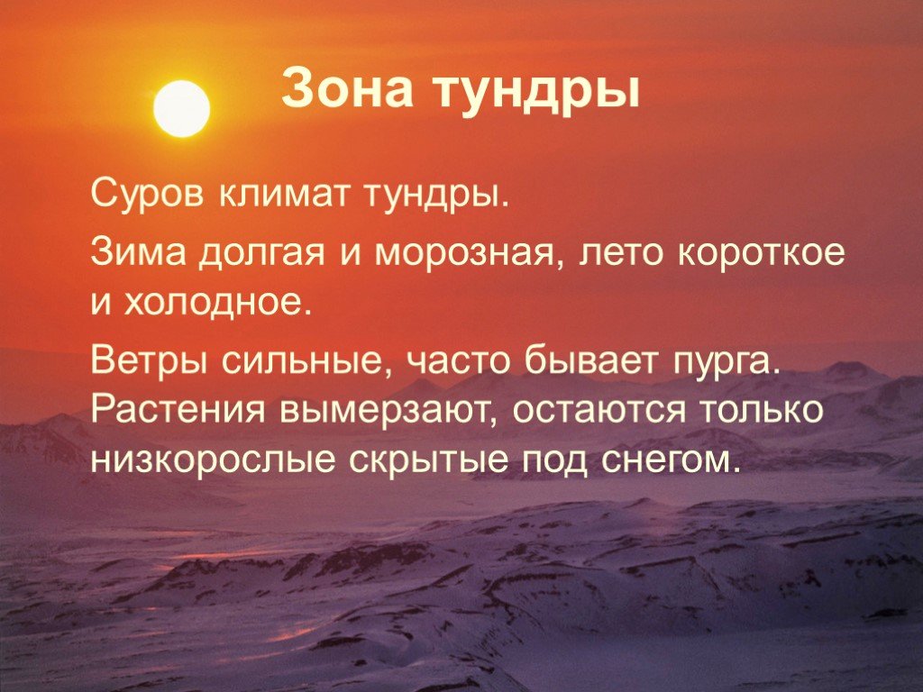 Тундра природная зона россии климат
