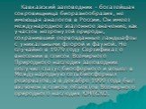 Кавказский заповедник - богатейшая сокровищница биоразнообразия, не имеющая аналогов в России. Он имеет международное эталонное значение, как участок нетронутой природы, сохранивший первозданные ландшафты с уникальными флорой и фауной. Не случайно в 1979 году Сертификат о внесении в список Всемирног