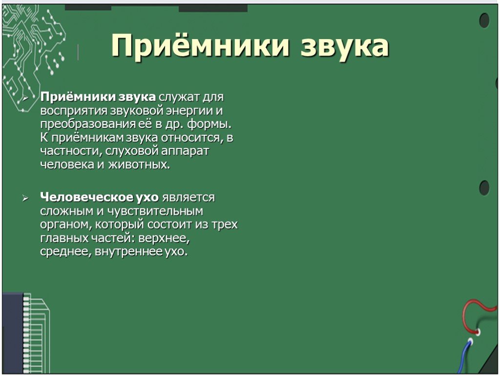 Проект по физике на тему звук 9 класс