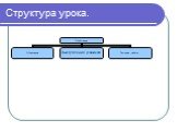 Структура урока.