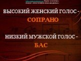 НИЗКИЙ МУЖСКОЙ ГОЛОС -. СОПРАНО. ВЫСОКИЙ ЖЕНСКИЙ ГОЛОС -. БАС