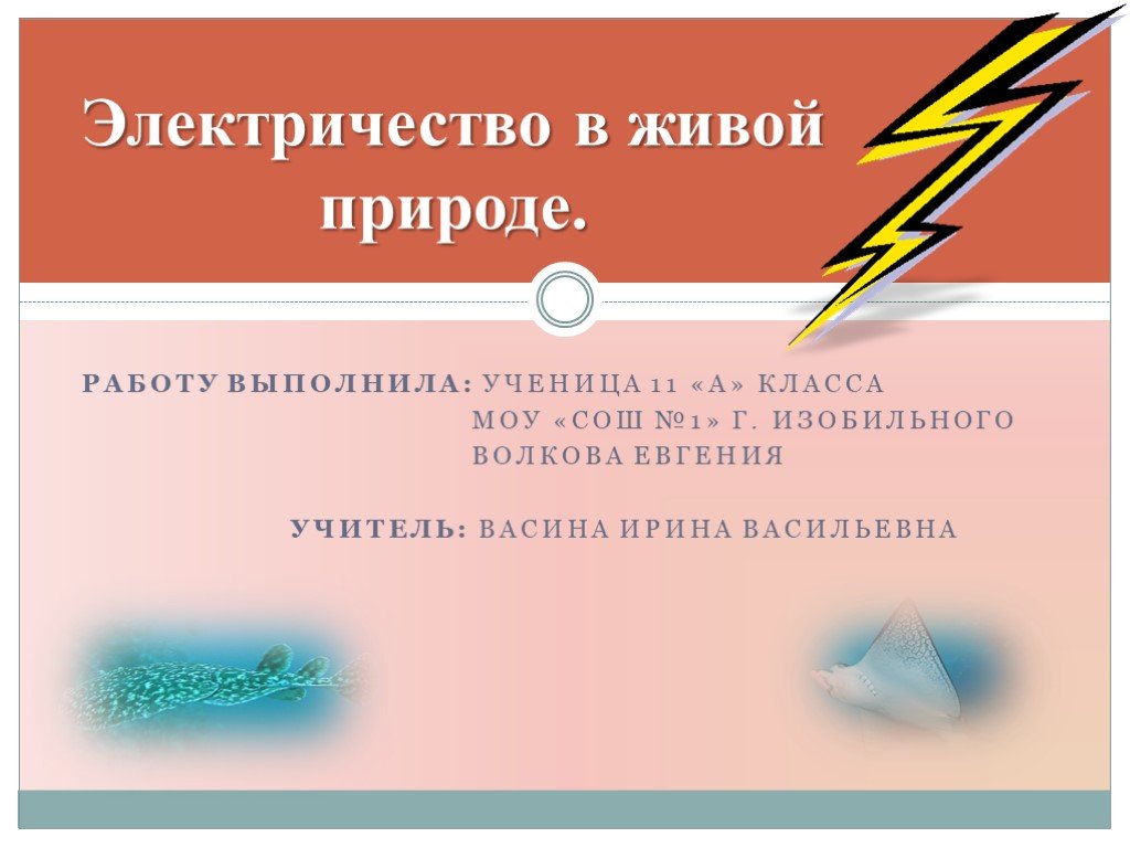 Презентация на тему электричество в живых организмах