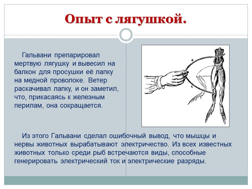 Схема первый опыт гальвани