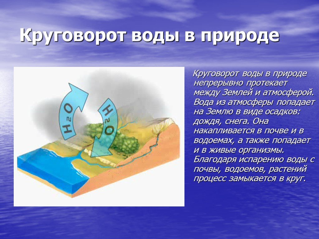 Проект 2 класс круговорот воды в природе