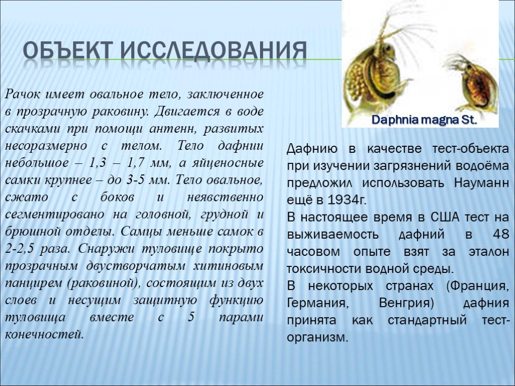 Токсичность дафнии. Тест-объекты для биотестирования. Биотестирование на дафниях. Биоиндикаторы дафний.