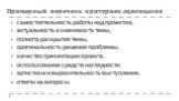 Примерный перечень критериев оценивания. самостоятельность работы над проектом, актуальность и значимость темы, полнота раскрытия темы, оригинальность решения проблемы, качество презентации проекта. использование средств наглядности. артистизм и выразительность выступления, ответы на вопросы.