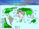 Карта распределения запасов свинца по странам мира.