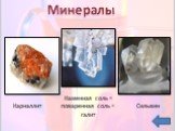 Минералы. Каменная соль = поваренная соль = галит. Карналлит Сильвин