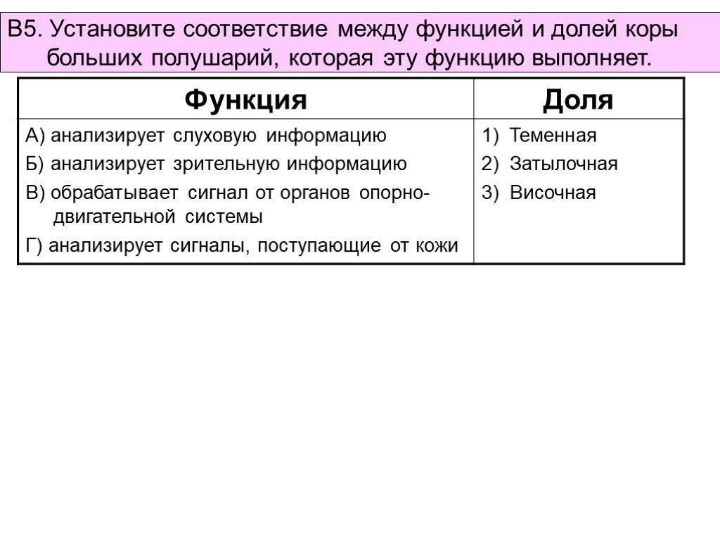 Долей между. Соответствие между долями больших полушарий и их функциями. Установите соответствие между долей больших полушарий и ее функцией. Между функцией и долей коры больших полушарий. Установить соответствие между долями больших полушарий и их функции.