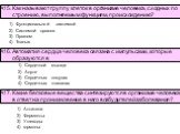 Функциональной системой Системой органов Органом Тканью. А15. Как называют группу клеток в организме человека, сходных по строению, выполняемым функциям, происхождению? А16. Автоматия сердца человека связана с импульсами, которые образуются в. Сердечной мышце Аорте Сердечных сосудах Сердечных клапан