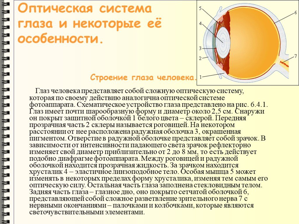 Какое образование относят к оптической системе глаза. Оптическая система глаза строение глаза физика. Строение глаза человека с точки зрения физики. Перечислите составляющие оптической системы глаза. Глаз как оптическая система принцип работы.