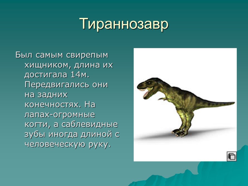 Опиши динозавра. Тираннозавр рекс описание для детей 1. Сообщение о динозаврах. Динозавры слайды. Доклад про динозавров.
