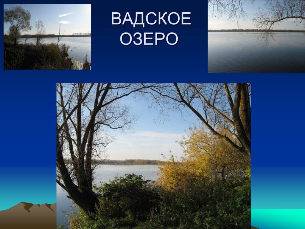 Презентация природа нижегородской области