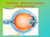 Анатомо – физиологическое строение глаза.