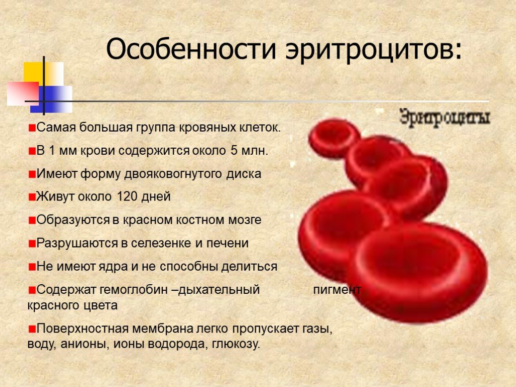 Что бывает повышено в крови