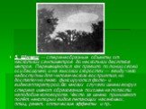 5. Шнеки — стержнеобразные объекты от нескольких сантиметров до нескольких десятков метров. Перемещаются как правило по линии своей оси бесшумно и на высоких скоростях — ввиду чего недоступны для человеческого восприятия, но достаточно легко фиксируются фото- и видеоаппаратурой. Во многих случаях шн