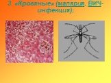 3. «Кровяные» (малярия, ВИЧ-инфекция);