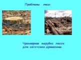 Проблемы леса: Чрезмерная вырубка лесов для заготовки древесины.