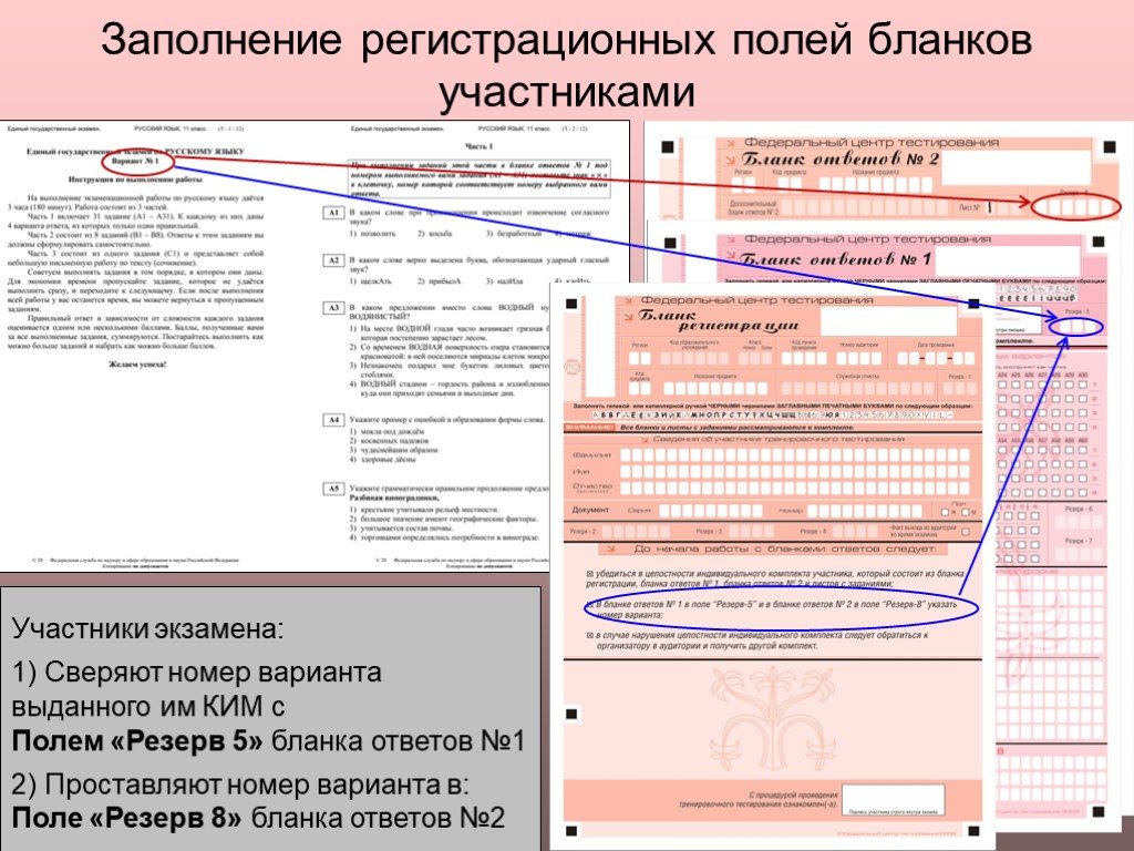 Номер варианта 2. Заполнение регистрационных форм. Заполнение регистрационного Бланка ЕГЭ. Заполнение бланков ЕГЭ участниками экзамена. Резерв в бланке ответов.