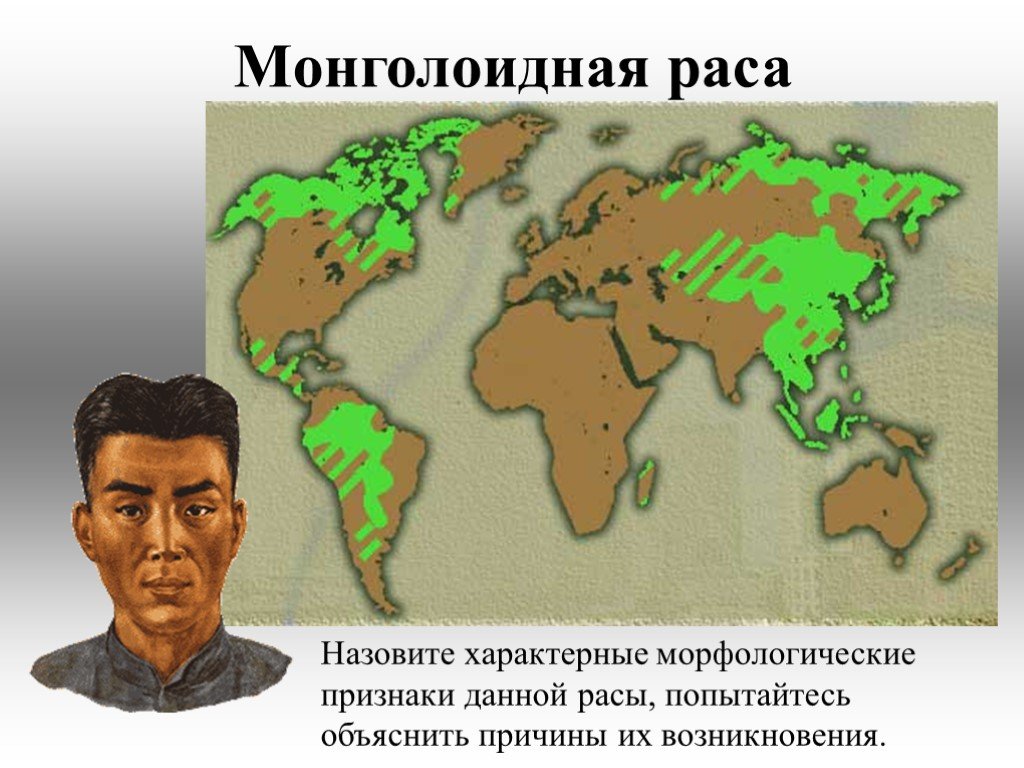 Расой называют людей. Ареал обитания монголоидной расы. Места расселения монголоидной расы. Монголоидная раса карта расселения. Территория расселения монголоидной расы.
