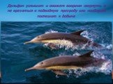 Дельфин услышит и сможет вовремя свернуть и не врезаться в подводную преграду или наоборот поспешит к добыче