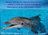 Живут дельфины практически во всех морях и океанах нашей планеты. Некоторые виды обитают в реках